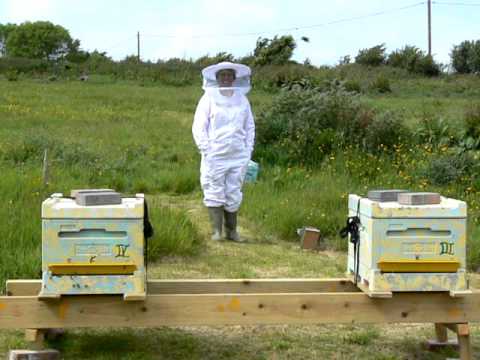 Wendy at Apiary - YouTube