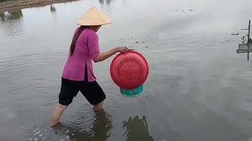 Miền Tây: Cô Ba Đi Thăm 12 Cửa Ngục ...