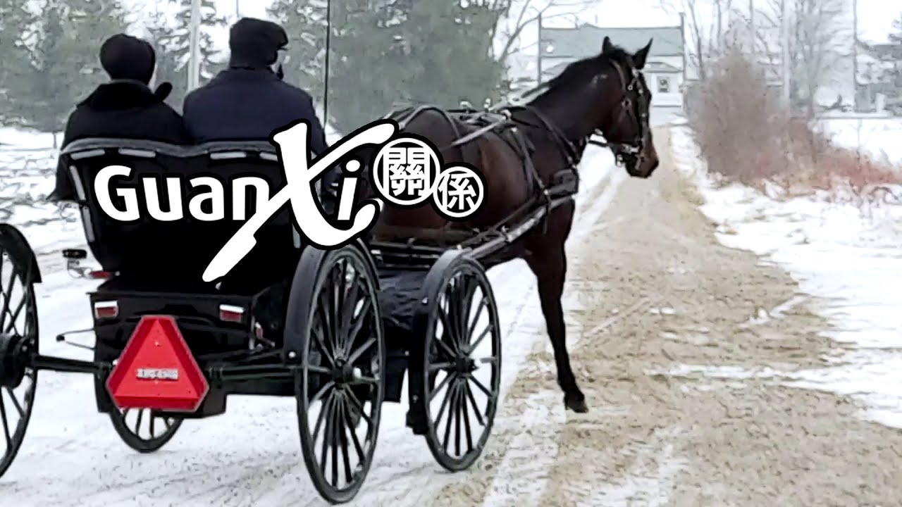 Mennonites in Ontario, Canada