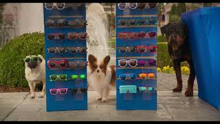 Show Dogs - Entriamo In Scena - Trailer