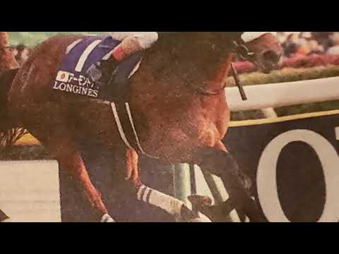 🍈有馬記念　オッズ　アーモンドアイ