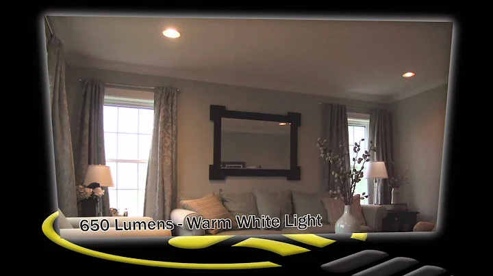 Philips EnduraLED BR30 Flood LED