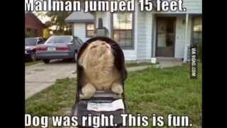 Best of 9GAG - September 2014 (Part 2)