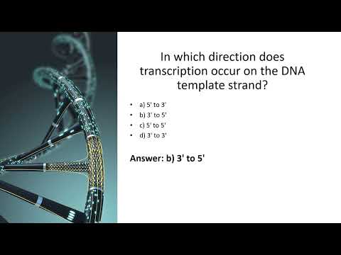 DNA Transcription: Test Your Knowledge