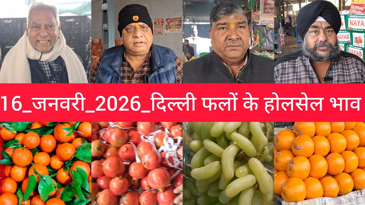 January 16, 2026 दिल्ली फलों के भाव Delhi fruit market price APMC fruit market price 