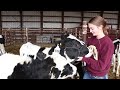 Dairy Handling Safety PSA
