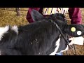 Dairy Handling Safety PSA