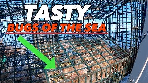 Forgotten Puget Sound Fishery