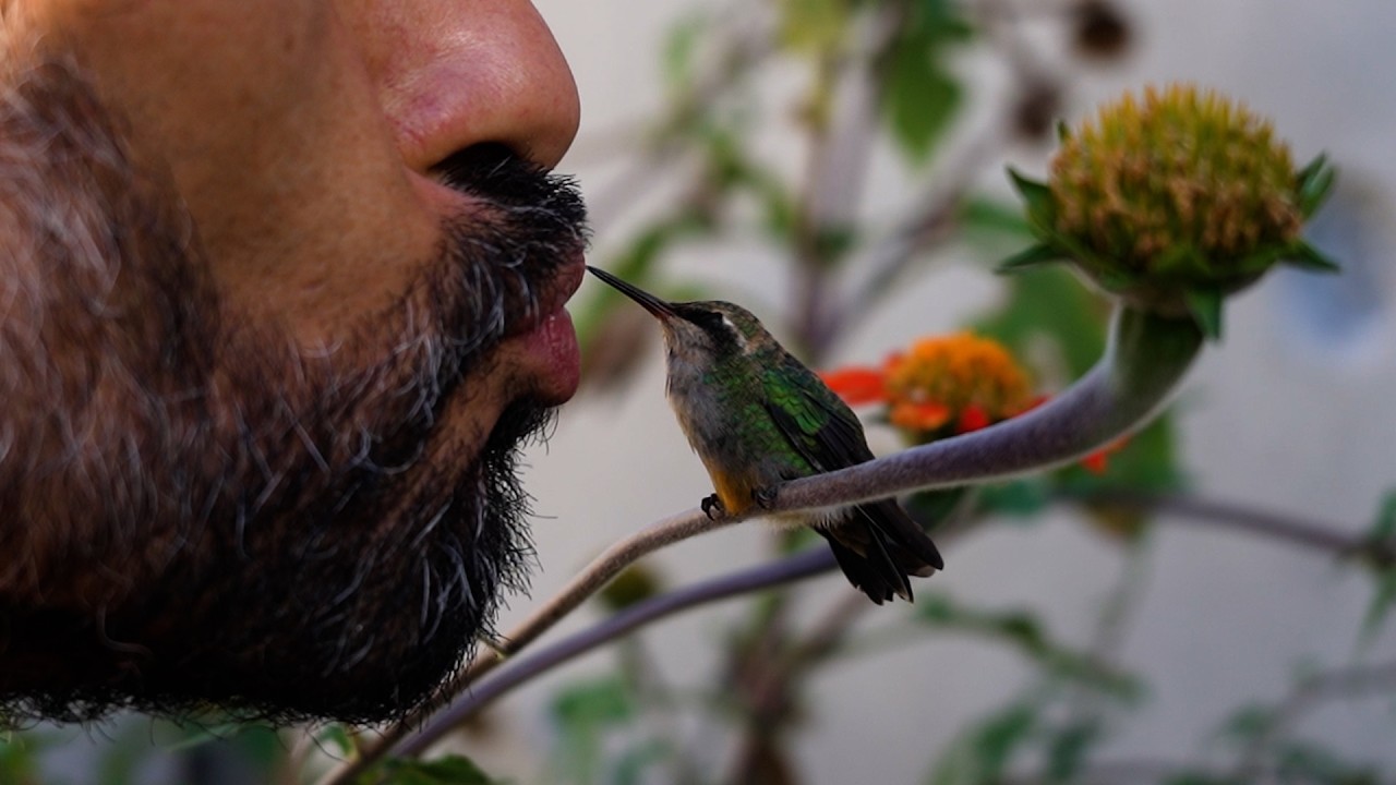 Mi vida con los PÁJAROS 🐦Casitas, nidos, comedero y sorpresas 🏡