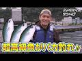 アジの7倍!?超高級魚タカベを秒で釣り上げる照英さん【ハーフタイムツアーズ】