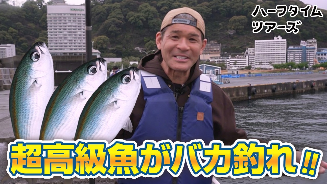 アジの7倍!?超高級魚タカベを秒で釣り上げる照英さん【ハーフタイムツアーズ】