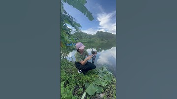 Actor Plus MK5 Automatic Navigation Bait Dropping and Return Function Explanation #boatman #baitboat