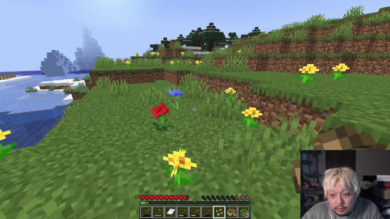 真夜中の初見じっくりマイクラ配信　その１