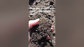 Super Fertile Soil! #farmlife #crazy #garden #fertile #soil