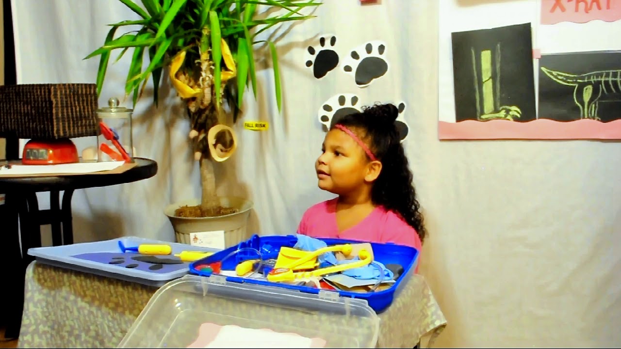 Aryia's Play House, Animal hospital YouTube