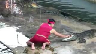 Unexpected accident at crocodile show 😅