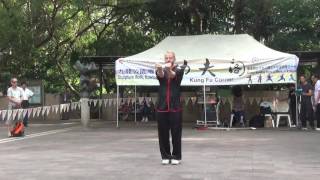 香港功夫表演201610028
