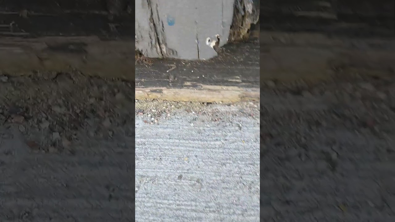 I Put This Gem Outside! 