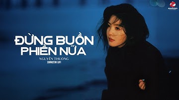 Đừng Buồn Phiền Nữa (Lofi Ver.) - Nguyễn Thương ft. ZuongZero | Official Lyrics Video