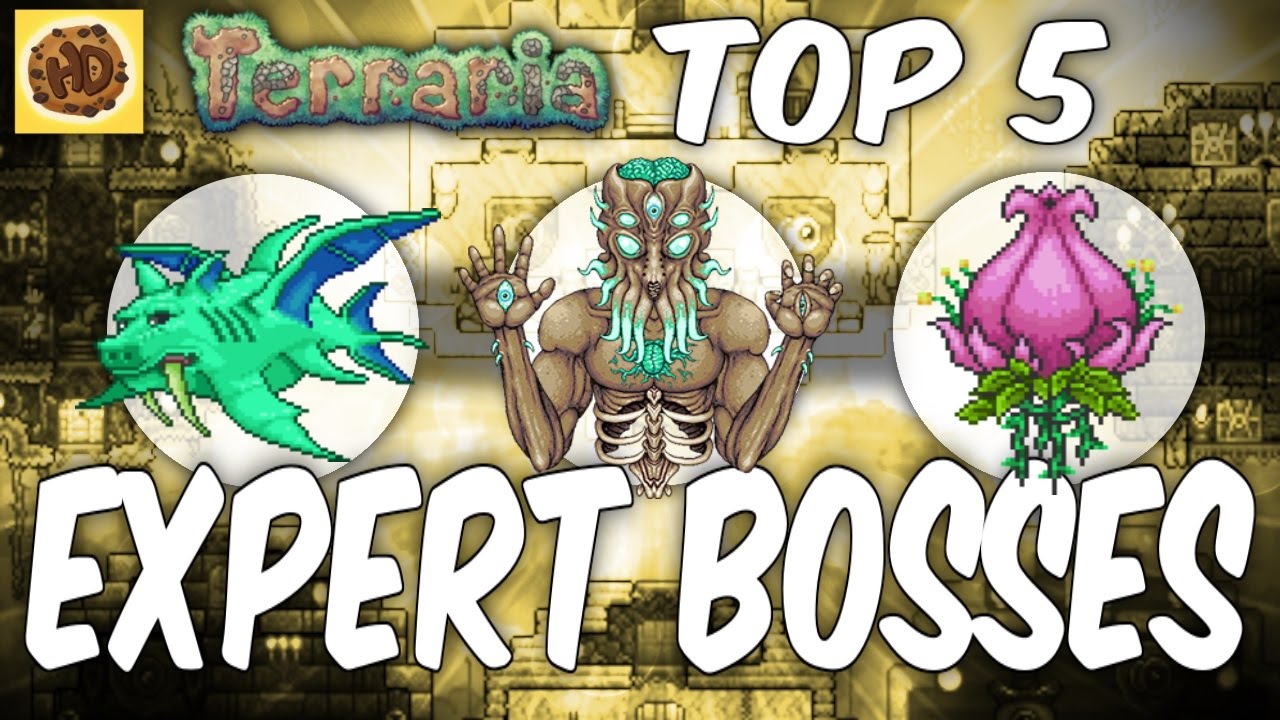 Expert Mode Boss Drops in Terraria pt.3 #terrariamemes #terraria