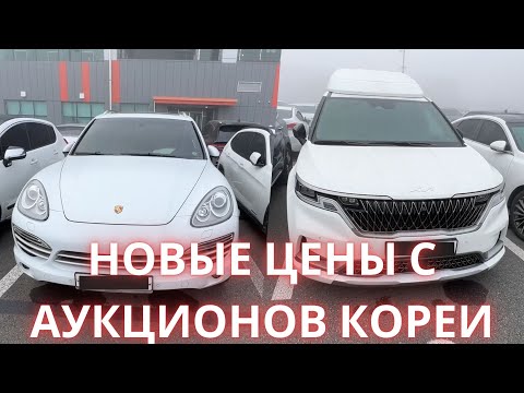 АВТО ИЗ КОРЕИ. АКТУАЛЬНЫЕ ЦЕНЫ НА АУКЦИОНЕ AUTO HUB