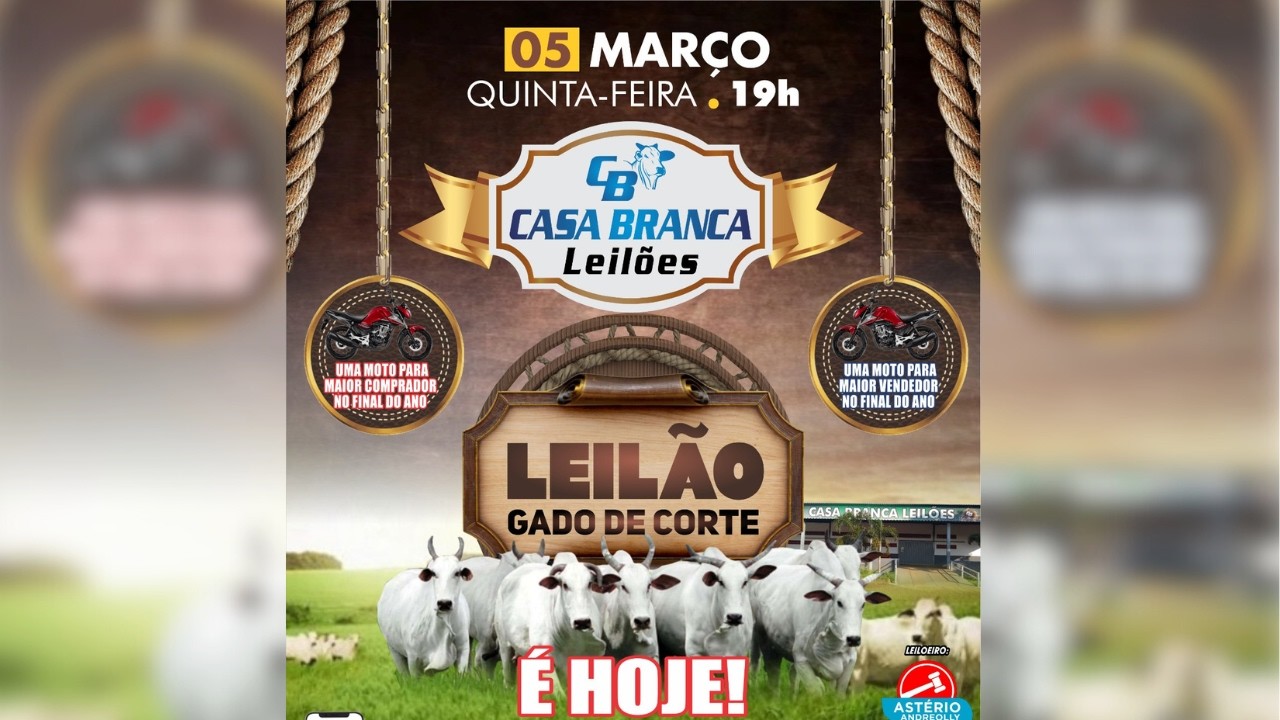 LEILÃO DE GADO DE CORTE CASA BRANCA LEILÕES -  CAMPINORTE - GO 05 /03/ 2026