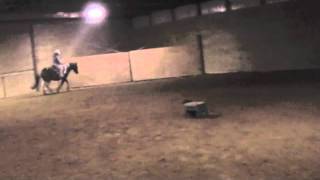 Riding Ollie, 12-18-2011