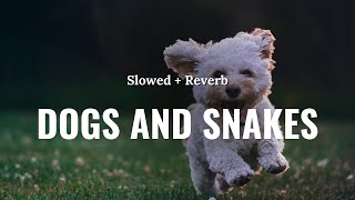 Dogs And Snakes (Slowed + Reverb) | IKKA x Sez on the Beat x Inflict | RAAG DROPZ