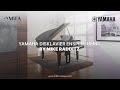 Dmonstration de yamaha disklavier enspire