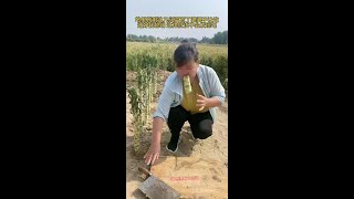 3x2rr3bf6jwnfds.mp4