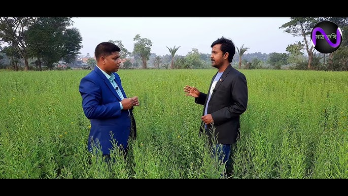 Jinsiy olatni vazelin bilan yoglang