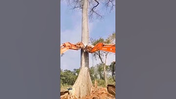 Unstoppable Excavator Takes Down Mighty Tree: Epic Clash of Nature and Machinery #shorts #machines