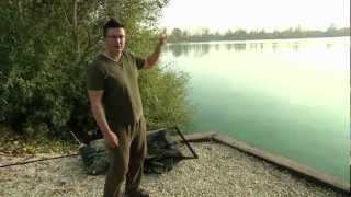 Gigantica Swims - The Pink & The Stink