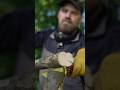 Build a survival shelter alone.#survival #bushcraft #shorts