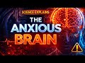 THE ANXIOUS BRAIN | Science Explains Anxiety