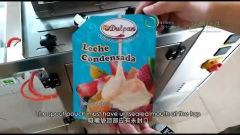 VD116T Linear Type Premade Pouch Packaging Machine+Spout Pouch