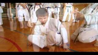 Smart Shito Course in Austria