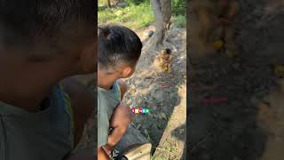 Oong eats starfruit, Oong really likes it #fyp #youtubeshorts #funny