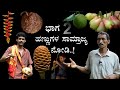 A DAY in Balanja farms Part 2 | ಹಣ್ಣುಗಳ ಸಾಮ್ರಾಜ್ಯ ಭಾಗ 2 | Bhat n Bhat with Anil balanja