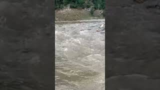 zindagi ka sabaq #lifelesson #qasimalishah #video #shortsfeed #nobatidao #nature #viralvideo #shorts