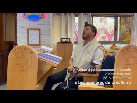 3MN DE TORAH POUR COMMENCER LA JOURNÉE - LES MEMBRES DE CRÉATION