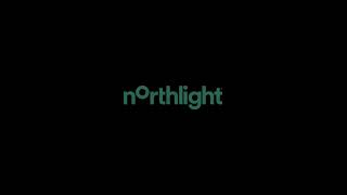 Remedy Entertainment/Northlight (2025)