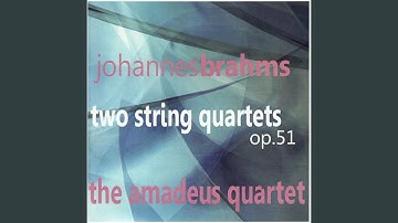 String Quartet No. 1 in C Minor, Op. 51: III. Allegretto molto moderato e comodo
