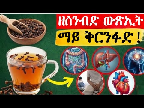 ን7 መዓልቲ ኣብ ባዶ ከብዲ ማይ ቀረንፉድ እንተሰቲኹም ዝፍጠር ዘገርም ነገር! | ፍሉይ ጥቕሚ ንደቂ ተባዕትዮን መጠንቀቕታን | Dr. Mayna