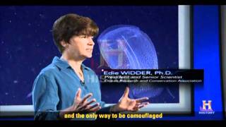 Deep Ocean Explorers