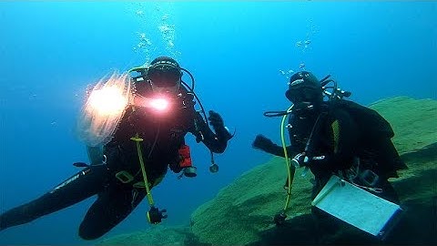 Wat is de oorzaak van de onderzeese ecosystemen?
