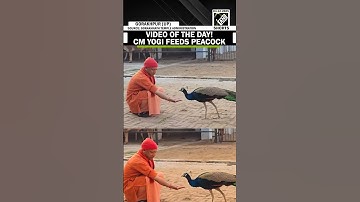 Viral Video: CM Yogi feeds peacock during 