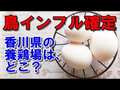 鳥インフルエンザ 香川県さぬき市の養鶏場はどこ？