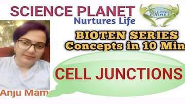 TYPES OF CELL JUNCTIONS II ANCHORING II OCCLUDING II COMMUNICATING JUNCTION II BY ANJU MAM
