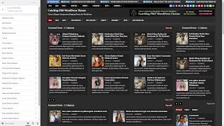 Customizer Theme Options - CuteMag PRO WordPress Theme